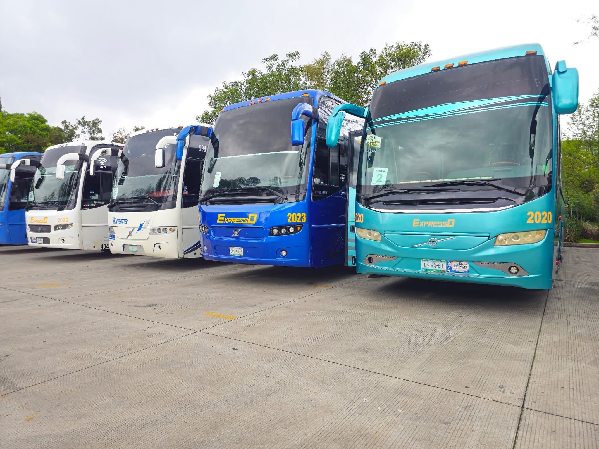 Vans y autobuses de turismo